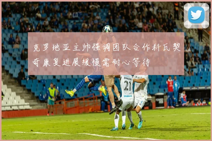 克罗地亚主帅强调团队合作科瓦契奇康复进展缓慢需耐心等待